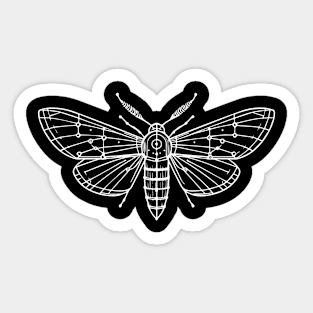 moth design Sticker